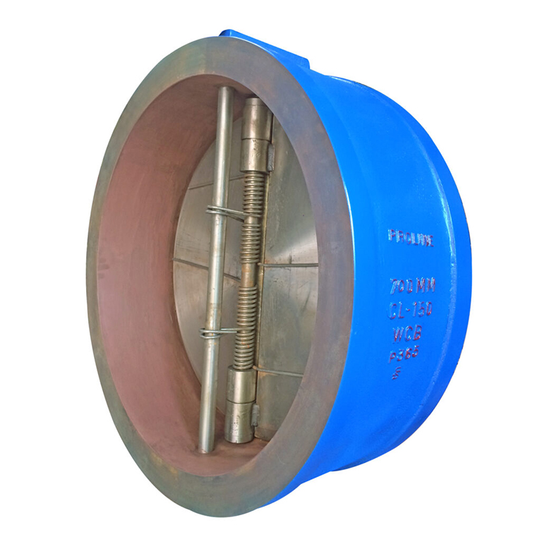 Dual-Plate-Check-Valve-812x1024