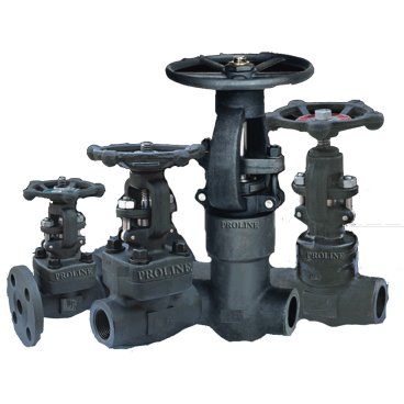 Forged-Steel-Valves-1 Forged Valves