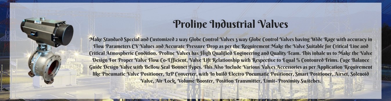 Proline-Industrial-Valves-2 Valve Manufacture India