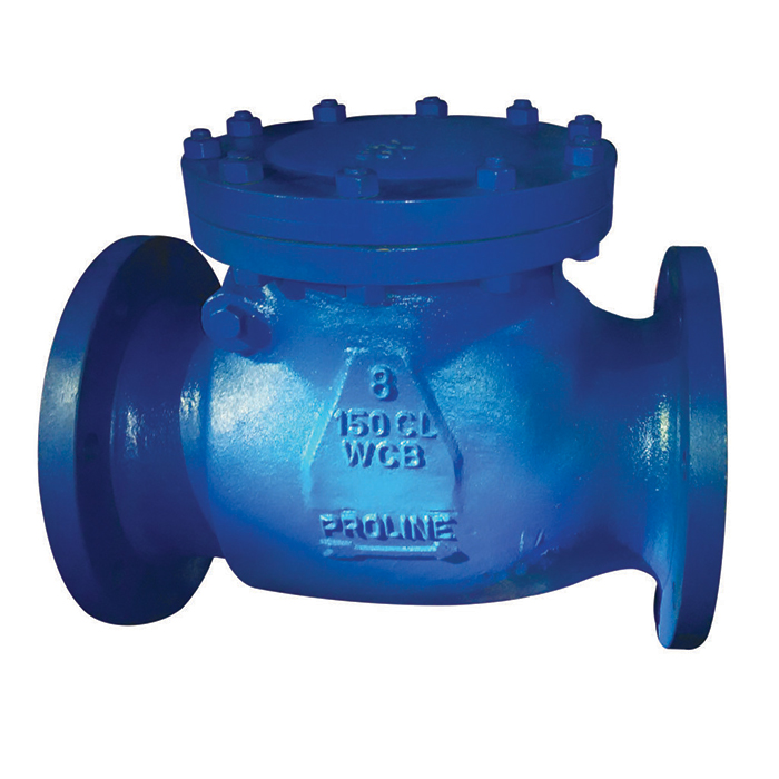 Swing-Check-Valve-1024x871